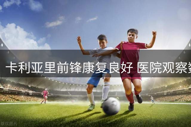 卡利亚里前锋康复良好 医院观察数日后可出院