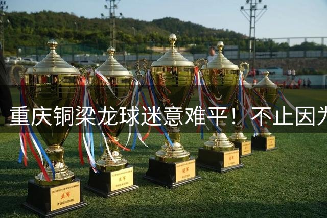 重庆铜梁龙球迷意难平！不止因为2-3上海海港，更多在于以下五点